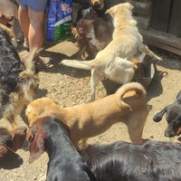 photo de livraison pour SPAS