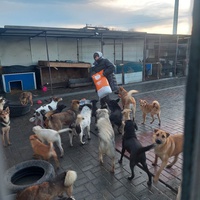 photo de livraison pour Associtia Axi Hope Romania