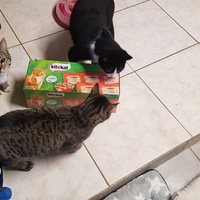 photo de livraison pour La Patte de l'Espoir 57