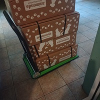 photo de livraison pour Protect Cat