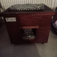 photo de livraison pour Les Chats-Pitresdelavi-Ste