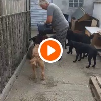 photo de livraison pour ПРИХВАТИЛИШТЕ ДРАЖЕВАЦ