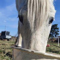 photo de livraison pour Libre en Barguillere