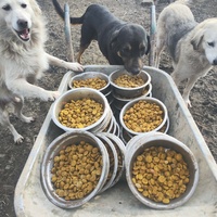 photo de livraison pour Svetlana Bjelogrlic