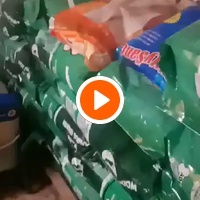 photo de livraison pour ПРИХВАТИЛИШТЕ ДРАЖЕВАЦ