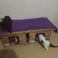 photo de livraison pour Pour l'Amour des Chats