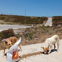 photo de livraison pour Sanctuaire de la Faune de Tanger (SFT)