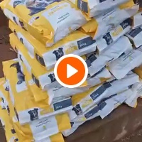 photo de livraison pour Help Adopt Moroccan Animals