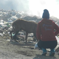 photo de livraison pour Civic Initiative Kane Korzo Skopje