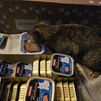 photo de livraison pour Amis de Myrtille