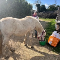 photo de livraison pour La Retraite des Chevaux des Causses