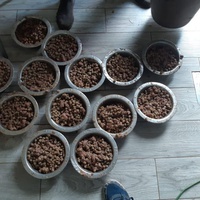 photo de livraison pour Comme Chiens et Chats Maroc