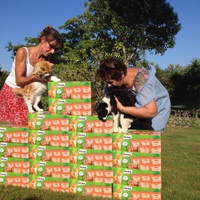photo de livraison pour Association Des  Chats  De Hyeres