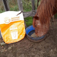 photo de livraison pour Association hippique du Caroux