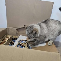 photo de livraison pour Sweety Pets