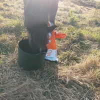photo de livraison pour Happy Horse Day