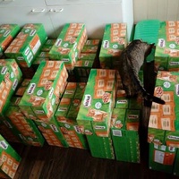 photo de livraison pour L'Arche de Marie - Mes Amours de Chats