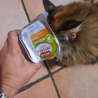 photo de livraison pour Les Pattes de l'Espoir 