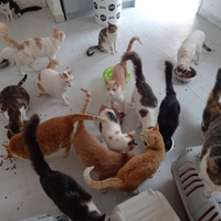 photo de livraison pour Ghita Muller El Jirari