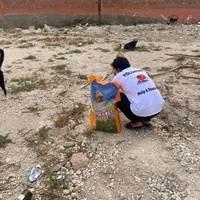 photo de livraison pour L'Arche de Noé