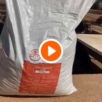 photo de livraison pour Help Adopt Moroccan Animals