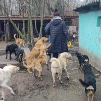 photo de livraison pour Svetlana Bjelogrlic