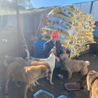 photo de livraison pour ADAN TETOUAN