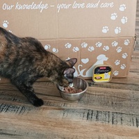 photo de livraison pour Les Chats de Condom 32