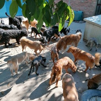 photo de livraison pour Ruke Spasa 37210