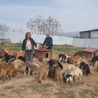 photo de livraison pour Happy Shelter Skopje