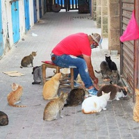photo de livraison pour ADAN Essaouira