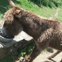 photo de livraison pour ADADA