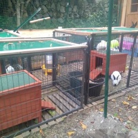 photo de livraison pour Poils de Tendresse