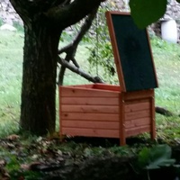 photo de livraison pour U Ghjattinu di Corti