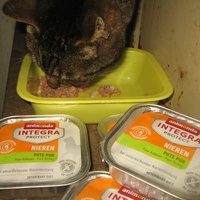 photo de livraison pour Jardin des Chats