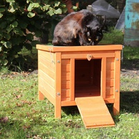 photo de livraison pour Adoption Féline 33