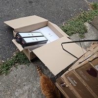 photo de livraison pour Les Chats de Dugny