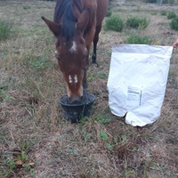 photo de livraison pour Happy Horse Day