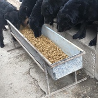 photo de livraison pour Društvo za zaštitu životinja "Bela"