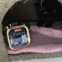 photo de livraison pour Ecole du Chat de Poitiers 
