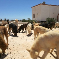 photo de livraison pour FSM