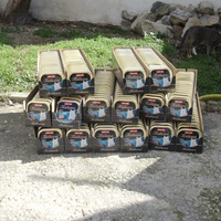 photo de livraison pour Protection Animale Berroise