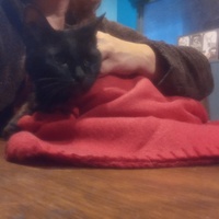photo de livraison pour SOS Animaux, un Toit pour la Vie