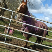 photo de livraison pour Syrou