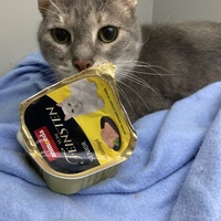 photo de livraison pour Cosette