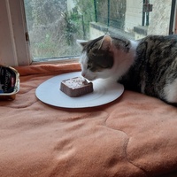 photo de livraison pour Cha'alors