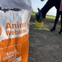photo de livraison pour Association Un Souvenir pour Gribouille
