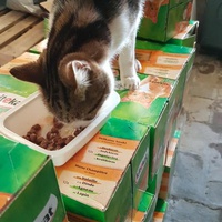 photo de livraison pour Chats des Rues 276