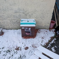 photo de livraison pour Sweety Pets