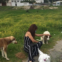 photo de livraison pour Sanctuaire de la Faune de Tanger (SFT)